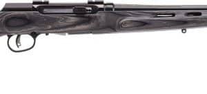 SAVAGE A17 17HMR HVY BBL 22" - ACCU TGR BLU/GRY LAM T-HOLE