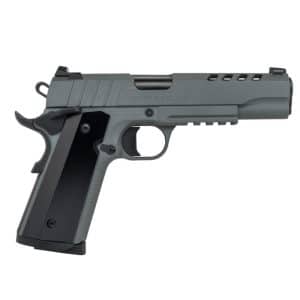 Side profile of a gray semi-automatic handgun with a black grip and 'NIGHT STALKER' on the slide.