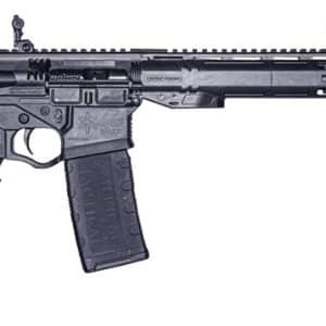 Black semi-automatic rifle with an adjustable stock and a 30‑round magazine on a white background.
