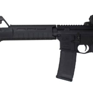 Black AR-style rifle with a detachable magazine, front sight, and adjustable stock on a white background, shown in profile.