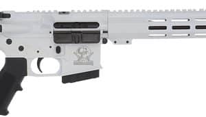 AR-15 style semi-automatic rifle with a black adjustable stock, black pistol grip, and a silver-gray receiver with a long vented handguard and front sight rail system.
