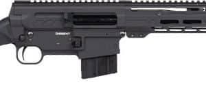 Black semi-automatic rifle with collapsible stock, pistol grip, and long rail handguard along the top and sides.