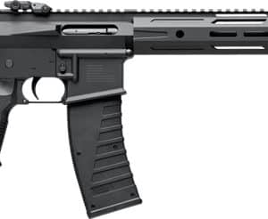 Black AR-style assault rifle with a collapsible stock, pistol grip, and long rail-equipped handguard.