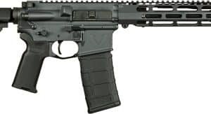 Black semi-automatic rifle with collapsible stock, pistol grip, and a detachable 30-round magazine.