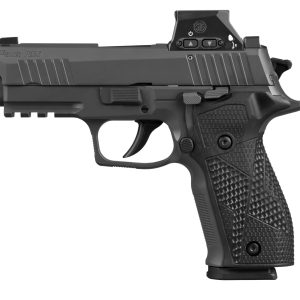 Side view of a gray SIG SAUER P226 semi-automatic pistol with textured grip and trigger guard in profile to the right, on white background.